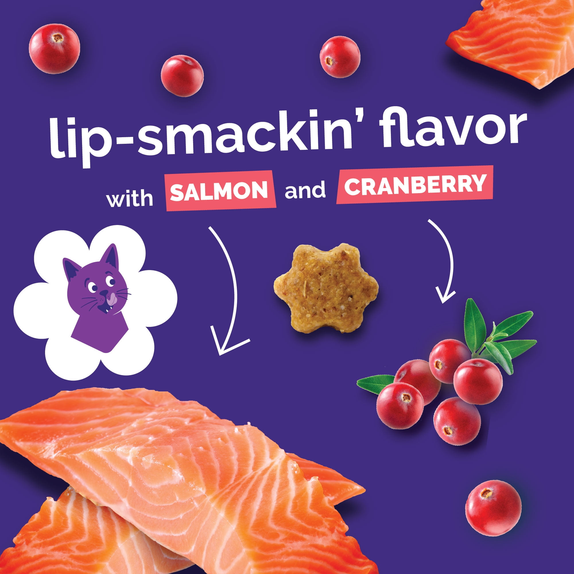 Fruitables Salmon and Cranberry Cat Treats - 30 Ounces