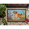 thumbnail image 3 of Carolines Treasures CK1238MAT Rhodesian Ridgeback Spring Indoor or Outdoor Mat - 18 x 27 in., 3 of 4