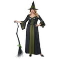 thumbnail image 3 of California Costumes Witch's Broom Halloween Costume Accessory, 3 of 5