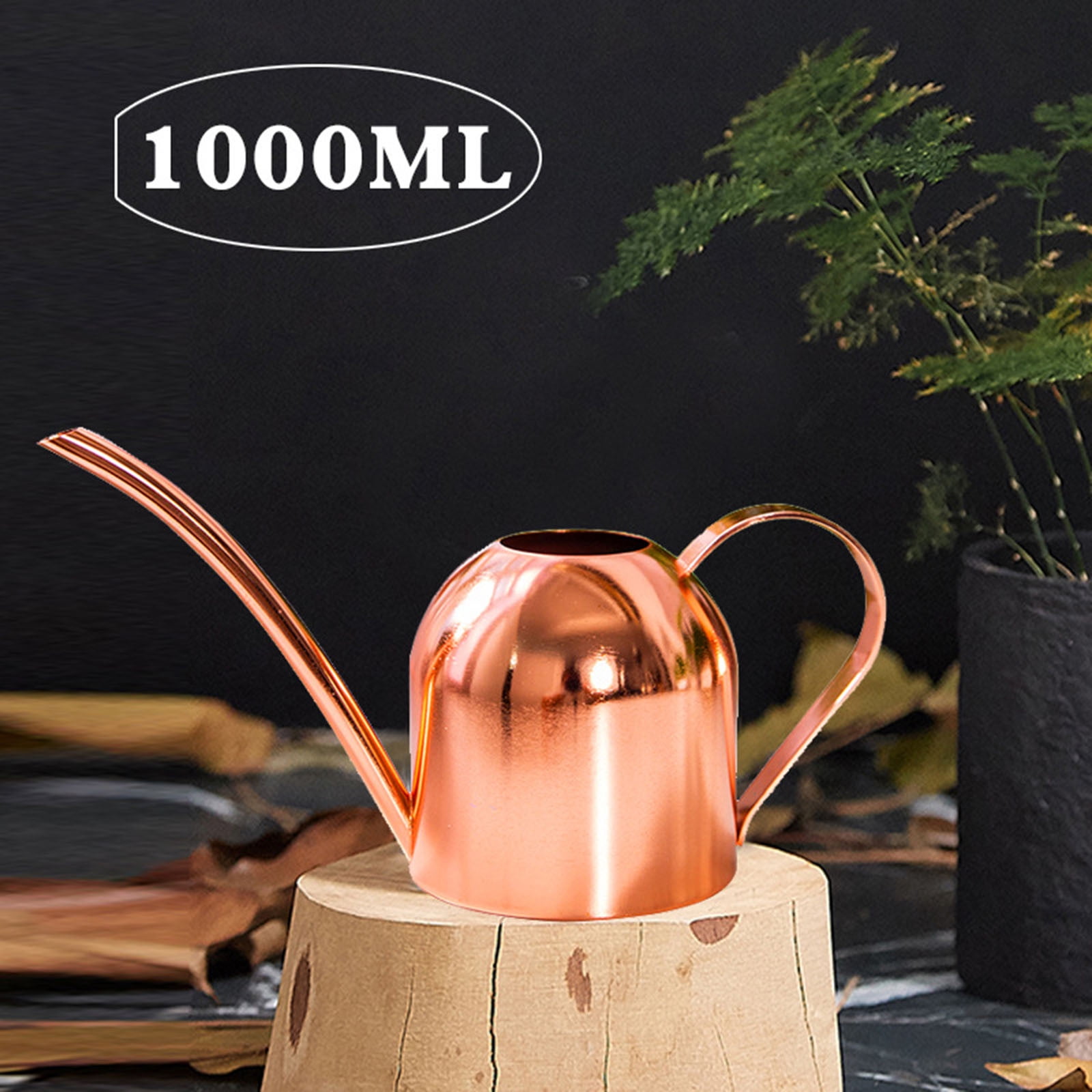 RoamHome Stainless Steel Watering Can for Indoor/Outdoor Plants – 34oz Metal Watering Can with Long Spout, Scratch-Resistant Brushed Finish & Lightweight Design for Home, Office, Garden.