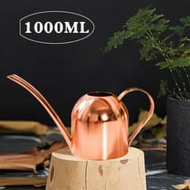 Stainless Steel Watering Can for Indoor & Outdoor Plants - Small Metal Watering Can with Long Spout, 500Ml/1000Ml Capacity, Brushed Finish - Gold, Black, Rose Gold Options