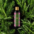 thumbnail image 3 of STR8 PRESSED ROSEMARY & MINT SHAMPOO, 3 of 7