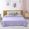 thumbnail image 2 of SUYOLL Summer Ice Silk Thin Comforter Blanket Breathable Lightweight Machine Washable Bedspread For Hot Sleepers, 2 of 6