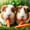 12x12 inch, variant on 5D Diamond Painting Kits for Adults Animal Theme Adorable Guinea Pig DIY Diamond Art for Adults Beginners Picture Art Crystal Painting for Home Wall Decor