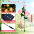 thumbnail image 6 of Oziral Solar Garden Lights Outdoor, 2 pack Waterproof LED Peony Solar Flowers Lights, Decorative Solar-Powered Stakes, Lawn Yard Patio Decor, 8 Modes, 6 of 9