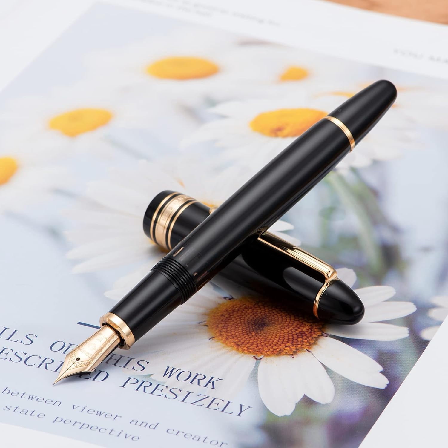 Lanxivi Yongsheng 629 Fountain Pen Piston Filling Black Resin,14K Fine Nib Torpedo Shape Gold Pen with Pen Case Set