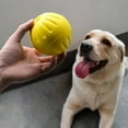 thumbnail image 4 of 1PC Indestructible en Caoutchouc Formation Balle Chien Jouet avec Support Corde Morsure Résistant, 4 of 5