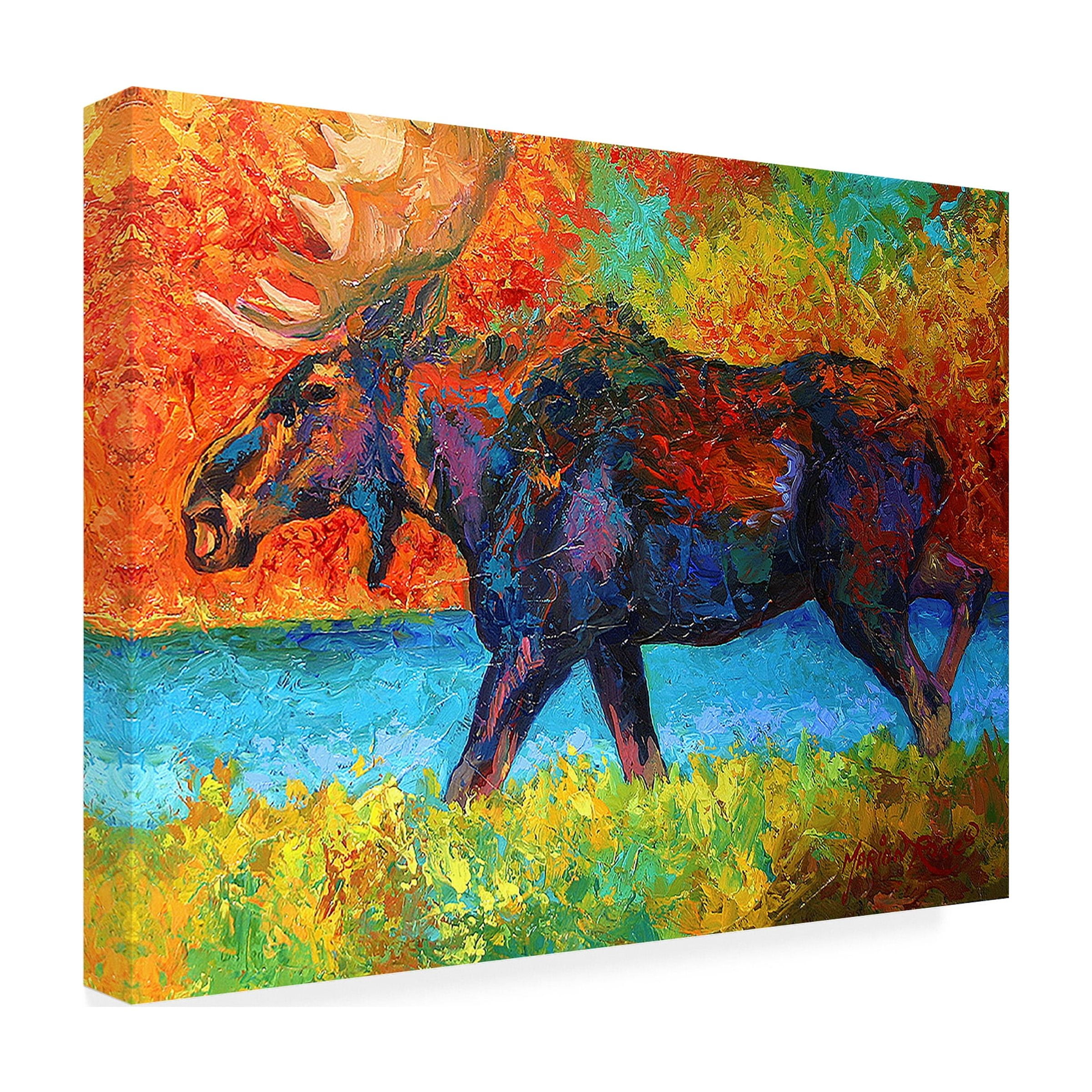 Marion Rose 'Moose EBSQ' Canvas Art