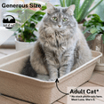thumbnail image 3 of Luli & Cat Disposable Litter Boxes for Cats | Jumbo Sized 4-Pack | Durable and Water Resistant, 3 of 8