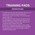 Vibrant Life Training Pads, Dog & Puppy Pads, XXL, 30 in x 36 in, 40