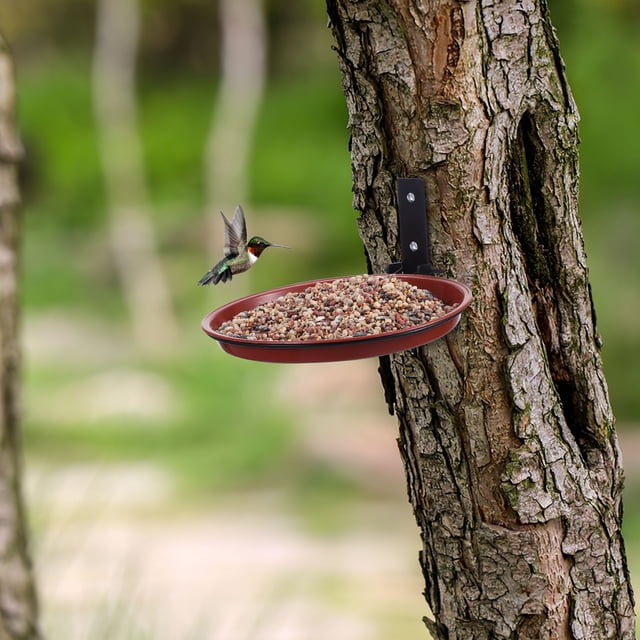 DEEPCRAFF 1Jgo Alimentador Para Pájaros Con Doble Función Y Comida Para O Jardín