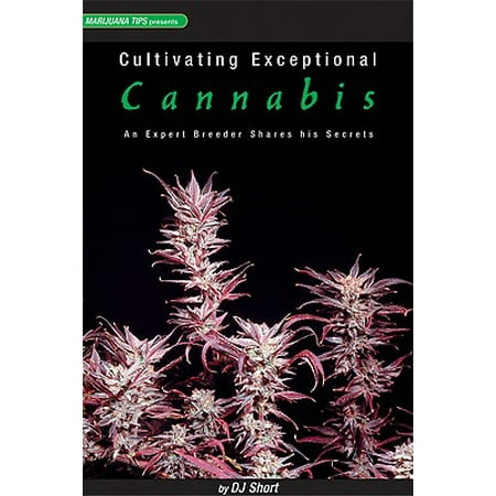Cultivating Exceptional Cannabis : An Expert Breeder Shares His