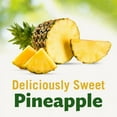 thumbnail image 2 of Del Monte DELUXE GOLD Pineapple Slices in 100% Juice Canned Fruit 20 oz (Pack of 6), 2 of 4