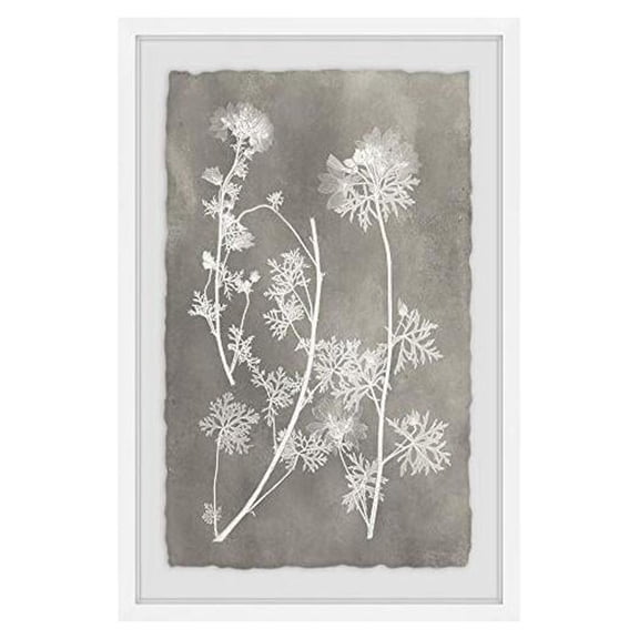 Marmont Hill Vintage Plant Study I Framed Painting Print