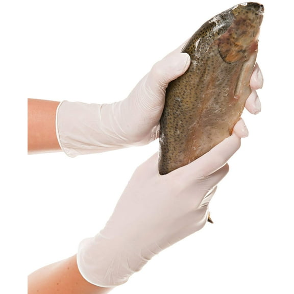 Franz Mensch ALLFOOD SAFE 26161 250 St. Einweghandschuh Größe (gloves): S S White