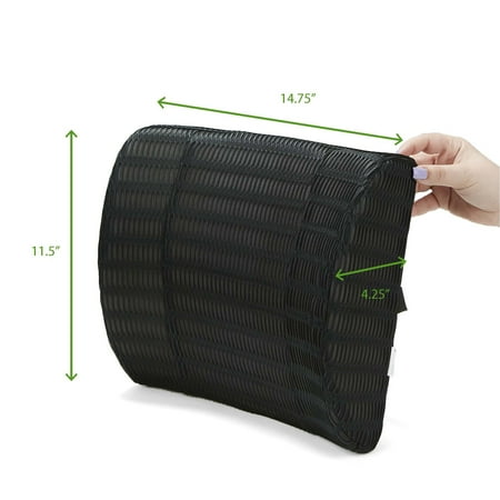 Mind Reader - Memory Foam Lumbar Back Cushion - Black