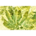 thumbnail image 3 of "Fern Fantasy I" Painting Print on Wrapped Canvas, 3 of 5