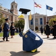 thumbnail image 5 of 1Set Graduation Porch Goose Outfit For â Cute For Graduation Season Celebrations And Photo (A), 5 of 6