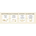 thumbnail image 4 of MISSHA Time Revolution Immortal Youth Cream 2X 50ml, 4 of 9