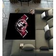 thumbnail image 1 of DEYOU FSU Seminoles Area Rugs 3 x 4ft Floor Carpet Mat for Living Dinning Room Bedroom Kitchen Hallway Office Decor, 1 of 6