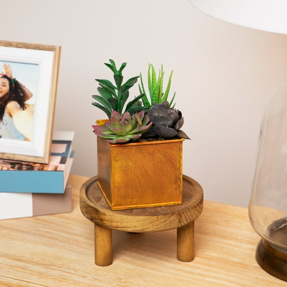 Northlight 7" Mixed Succulent Artificial Potted Arrangement - Green/Black