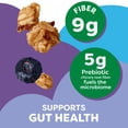 thumbnail image 3 of Kashi Gut Health Blueberry Almond Granola, Prebiotics and High Fiber, Whole Grain, 8 oz pack of 2, 3 of 5