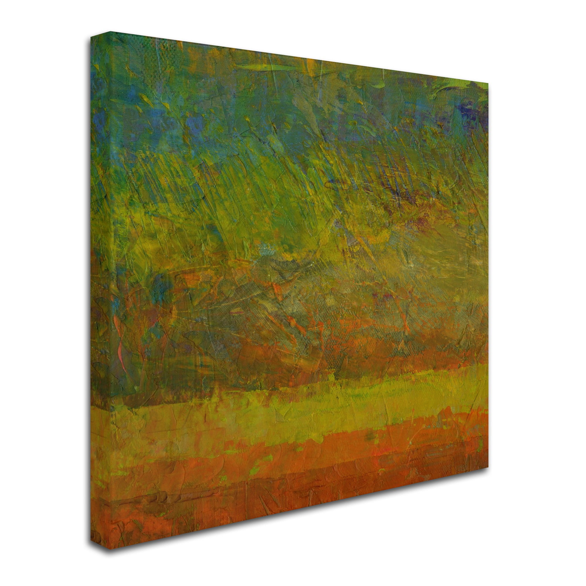 Trademark Fine Art "Golden Dawn" Canvas Art by Michelle Calkins