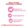 thumbnail image 3 of Alimento Para Gato Cachorro Royal Canin Kitten 1.37 kg, 3 of 4