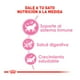 thumbnail image 3 of Alimento Para Gato Cachorro Royal Canin Kitten 1.37 kg, 3 of 4