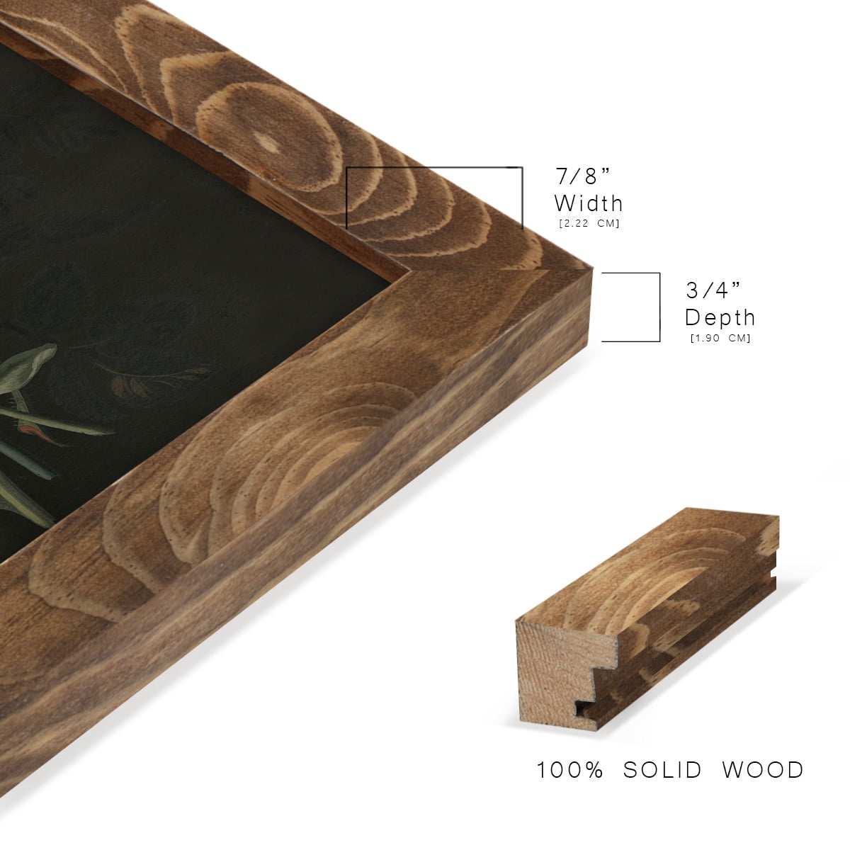 Dramatic Bouquet III -Framed Print w/glass-Walnut