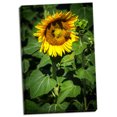 thumbnail image 2 of Gango Home Decor Contemporary A Summer Flower I by Alan Hausenflock (Ready to Hang); One 24x36in Hand-Stretched Canvas, 2 of 4