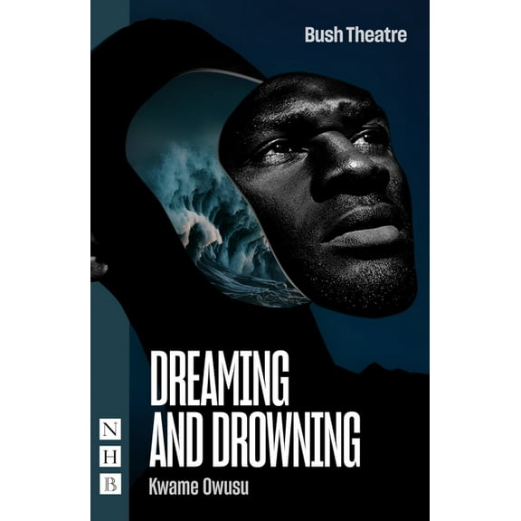 Dreaming and Drowning (Paperback)