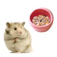 thumbnail image 6 of SEFUONI Hamster Bowl Ceramic Guinea Pig Water Bowl Small Animal Food Dish for Syrian Hamster Rabbit Gerbil Sugar Glider Rat, 6 of 9
