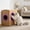 Purple, variant on Tdxkok Cardboard Cat Grooming House Self Groomer Comb Scratch Pad Door Hole DIY Grooming Device Interactive Self Cleaning Brush Toy for Cats Indoor Use