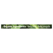 Earthbound Farm Organic Kale Italia Salad Kit, 5 oz