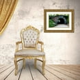 thumbnail image 3 of Berzel, Erin 24x17 Gold Ornate Wood Framed with Double Matting Museum Art Print Titled - Bridge in Central Park, 3 of 4