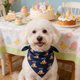 thumbnail image 4 of Ropa y accesorios de Pascua para mascotas, babero para mascotas, bufandas para mascotas con estampado de conejos y huevos de Pascua, decoraciones de Pascua ajustables, adecuadas para mascotas pequeñas, 4 of 6