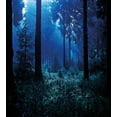 thumbnail image 3 of Ambesonne Night Duvet Cover Set, Misty Fall Nature Scenery, 2-Calking, Blue Green White, 3 of 7