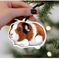 thumbnail image 6 of WIRESTER Set of 2pcs Acrylic Ready to Hang Ornament, Hanging Ornaments for Christmas Tree Holidays Party Home Office Xmas Tree Decoration Gift - Black White Brown Guinea Pig & American Guinea Pig, 6 of 7
