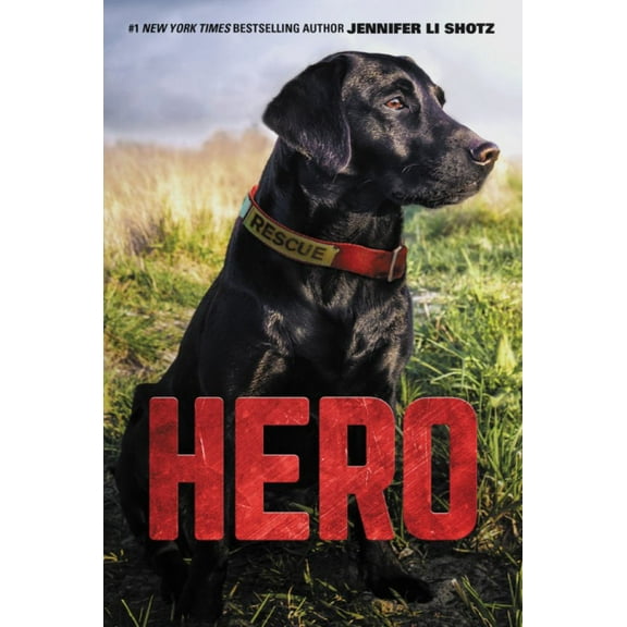 Jennifer Li Shotz: Hero (Paperback)