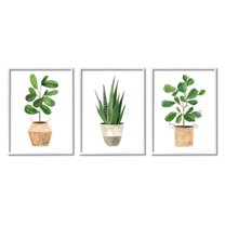 Stupell Minimal Potted Plants Botanicals Botanical & Floral Painting White Framed Art Print Wall Art, Set of 3