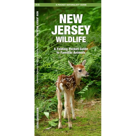 Nature Observation North America New Jersey Wildlife, (Paperback)