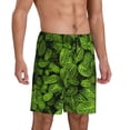 thumbnail image 2 of Rocae Tiny Green Fern Leaves for Men's Soft Sleep Pajama Shorts, Waistband and Pockets-4X-Large, 2 of 6