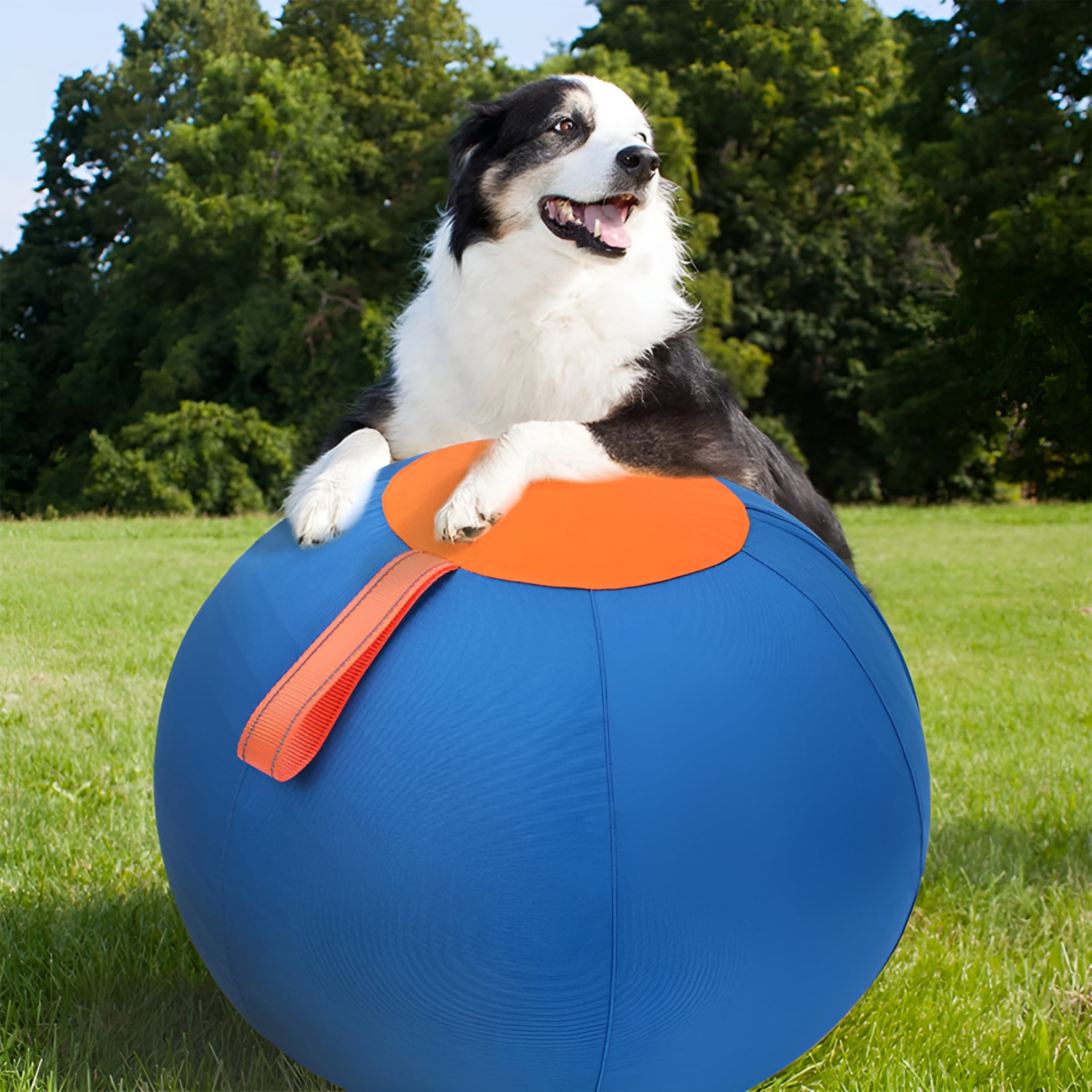 BESTSKY 2026 New Horse Herding Ball - 25" Cover with Straps,Australian Shepherd,Cattle Dogs,Collie & Herding Dog,Giant Jolly Ball for Play for Exercise,Fetch,Herding,Outdoor Play