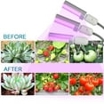 thumbnail image 3 of Amdohai Ampoule Led Grow Light Grow pour Plantes d'Intérieur 30W, 3 of 7
