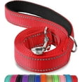 thumbnail image 1 of Jinswick Reflective Dog Leash Dog Training Leash Nylon Braided 4ft 5ft 6ft Heavy Duty with D for Large and Medium Dogs Comfortable for Running Training, 1 of 20