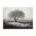 thumbnail image 2 of Gango Home Decor Tranquility I B&W by Vitaly Geyman (Printed on Paper); One 24x18in Fine Art Paper Giclee Print, 2 of 4