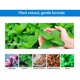 thumbnail image 4 of 10ml Teeth Whitening Essence Remove Stains and Yellow Spots Teeth Liquid Oral Health Care for Men Women, 4 of 5