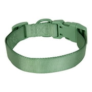 Vibrant Life Polyester Adjustable Collar for Dogs, Sage Green, Large