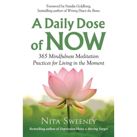 A Daily Dose of Now: 365 Mindfulness Meditation Practices for Living in the Moment, (Paperback)